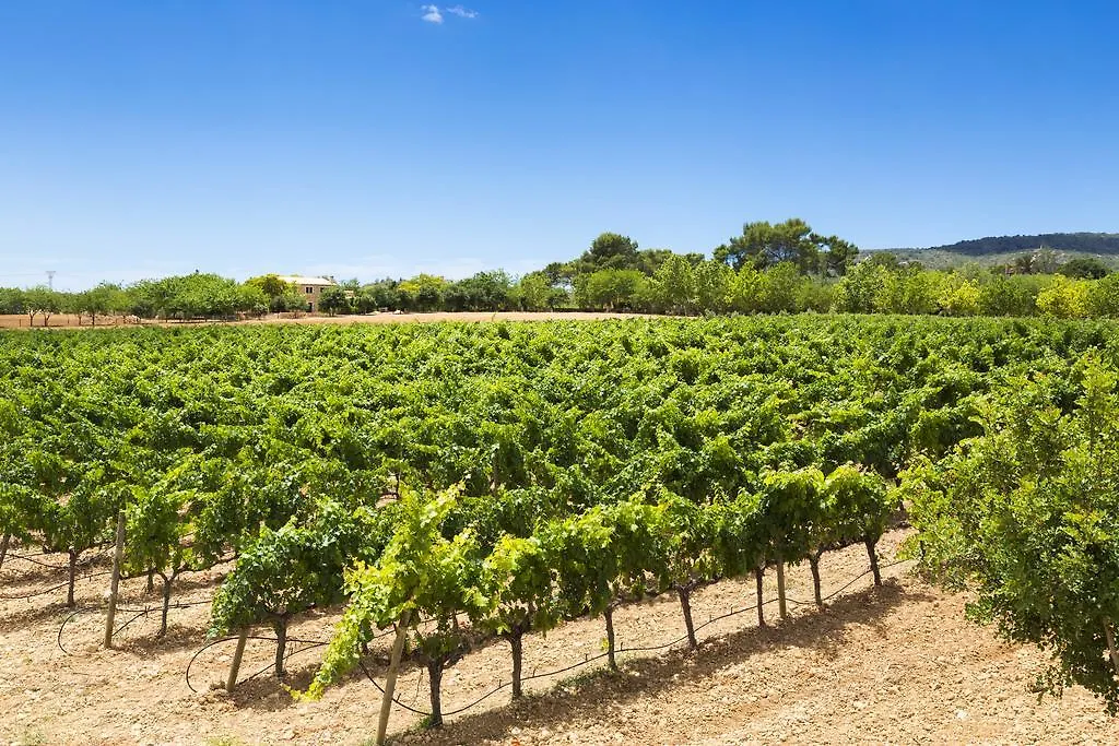 Hotel Agroturisme Sa Torre (Adults Only) Santa Eugenia